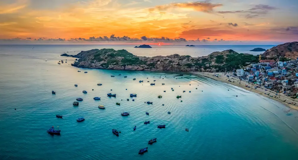 Bãi biển Quy Nhơn trong xanh với cát trắng và hàng dừa xanh