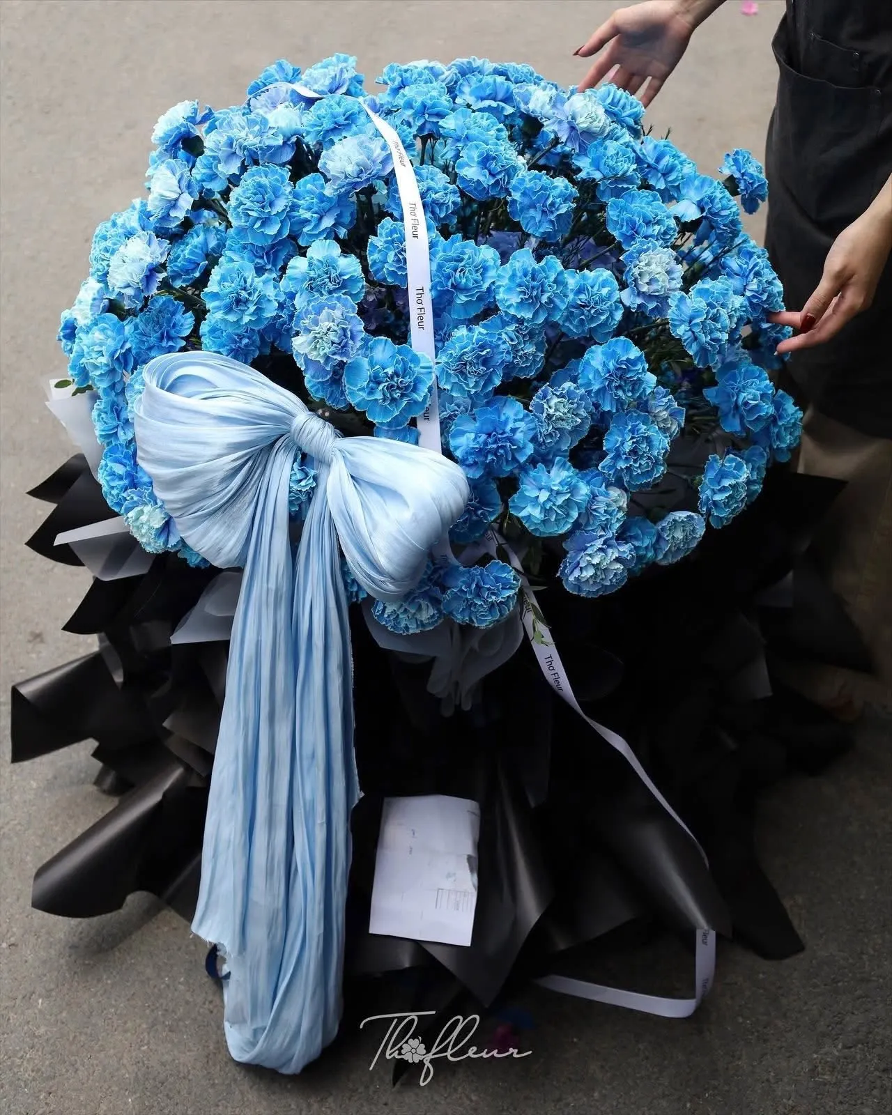 Bó hoa cẩm chướng 25