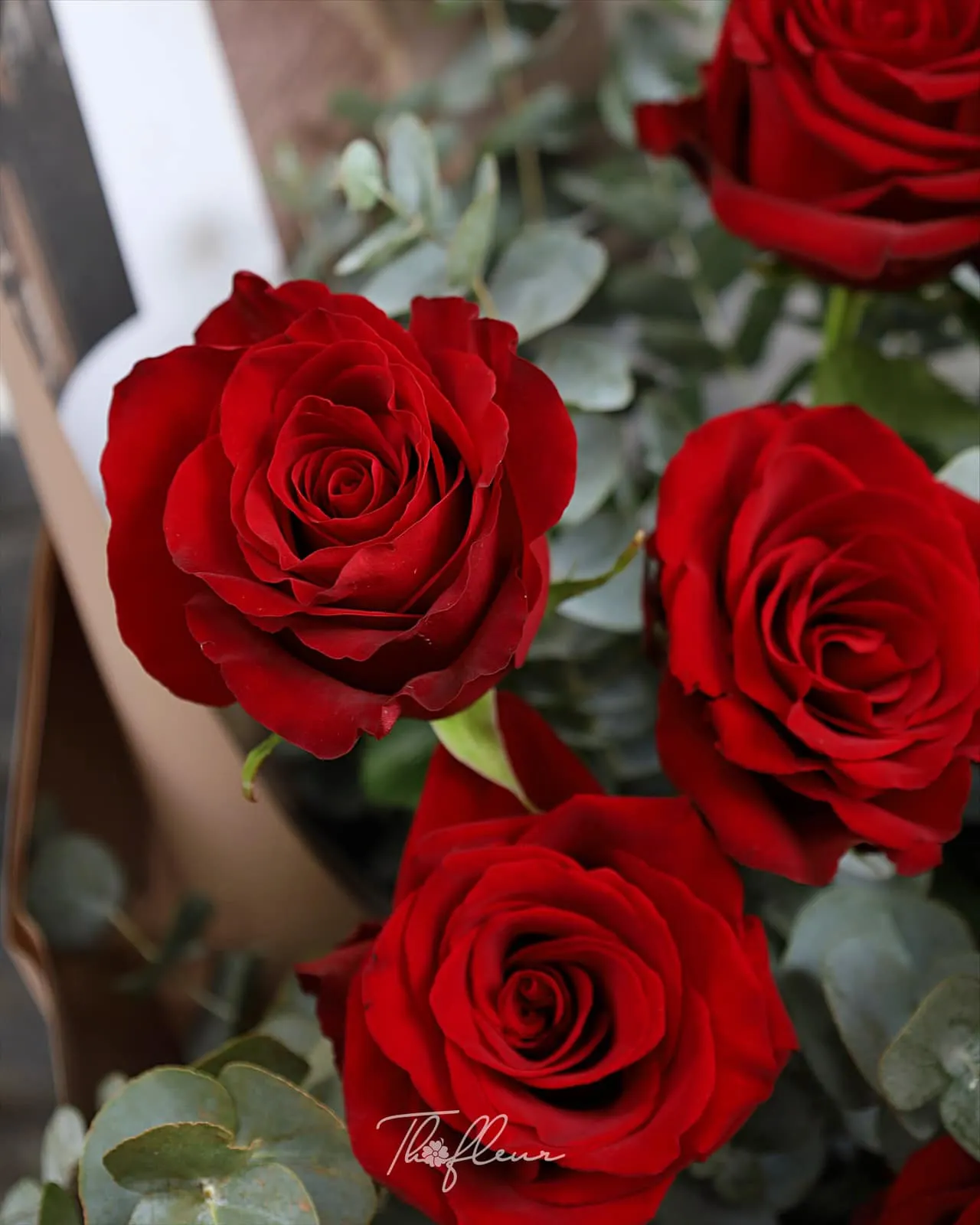 Bó hoa hồng nhập Ecuador 12