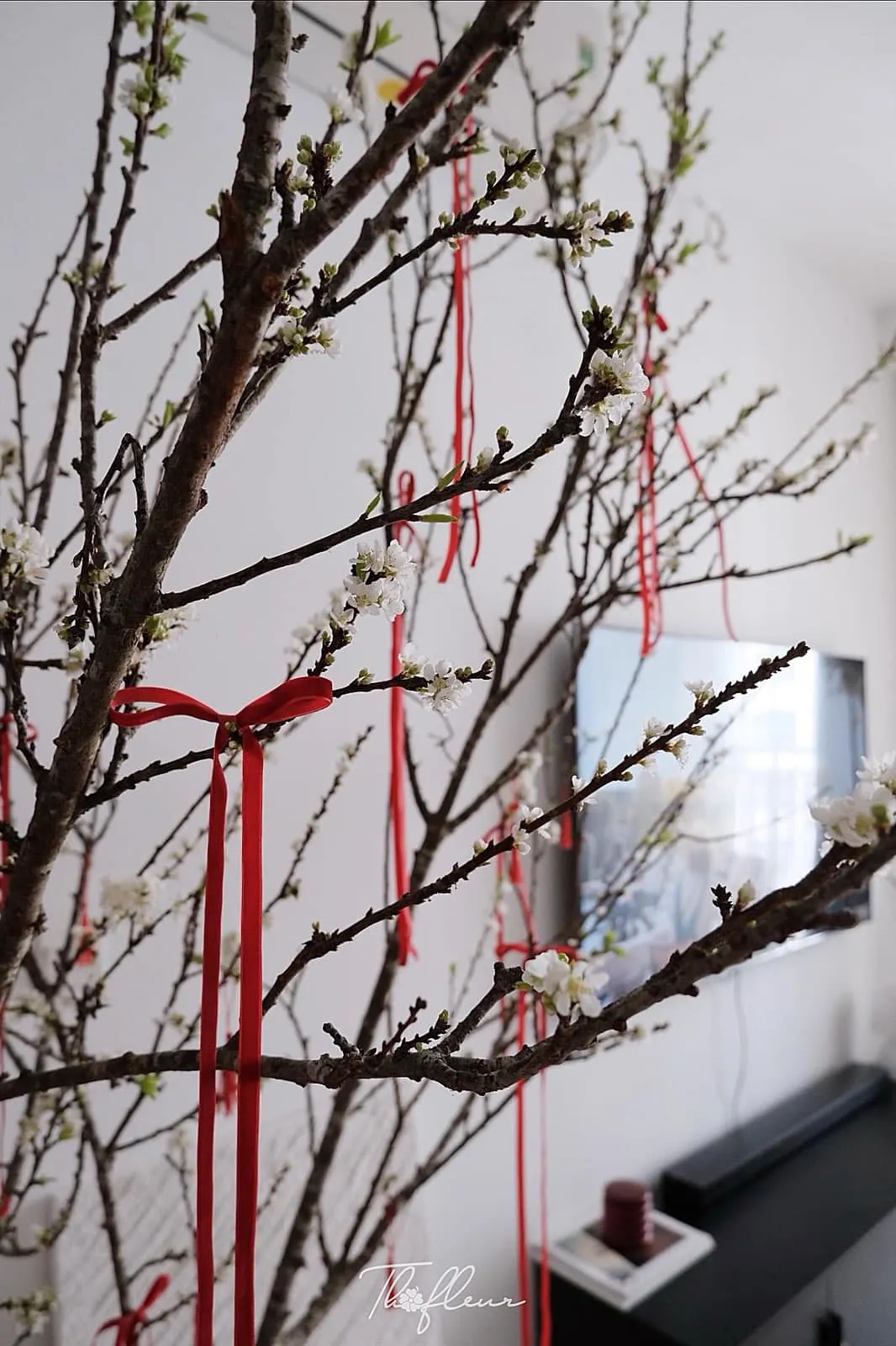 Cành mận Tây Bắc 05