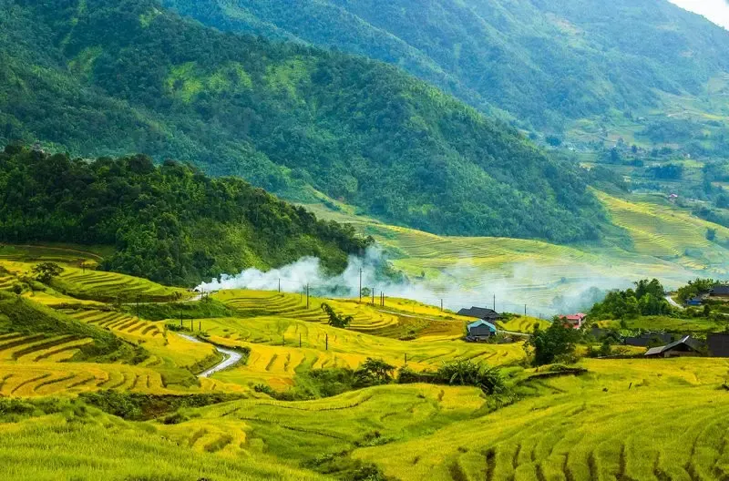 Bản Y Tý mùa lúa chín với biển mây và nhà trình tường