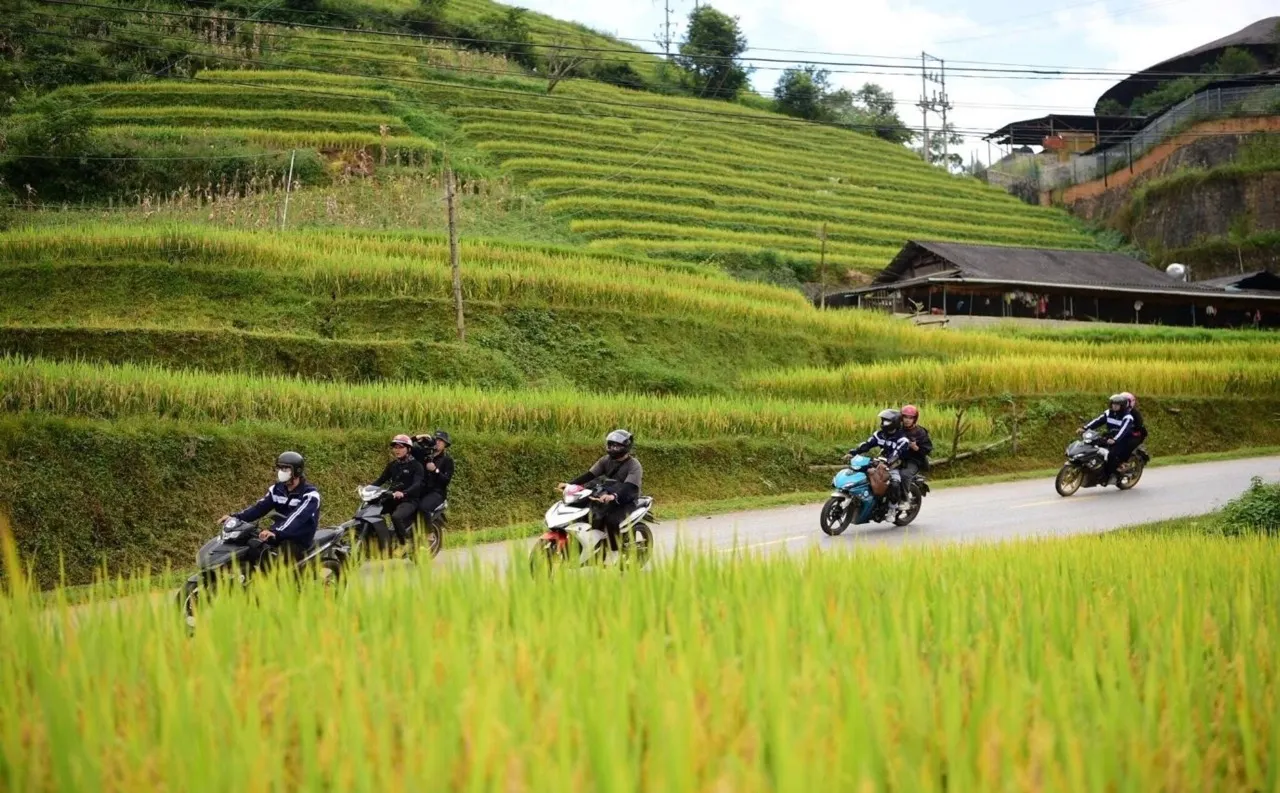 Phượt thủ chạy xe máy qua đèo Tây Bắc mùa lúa chín