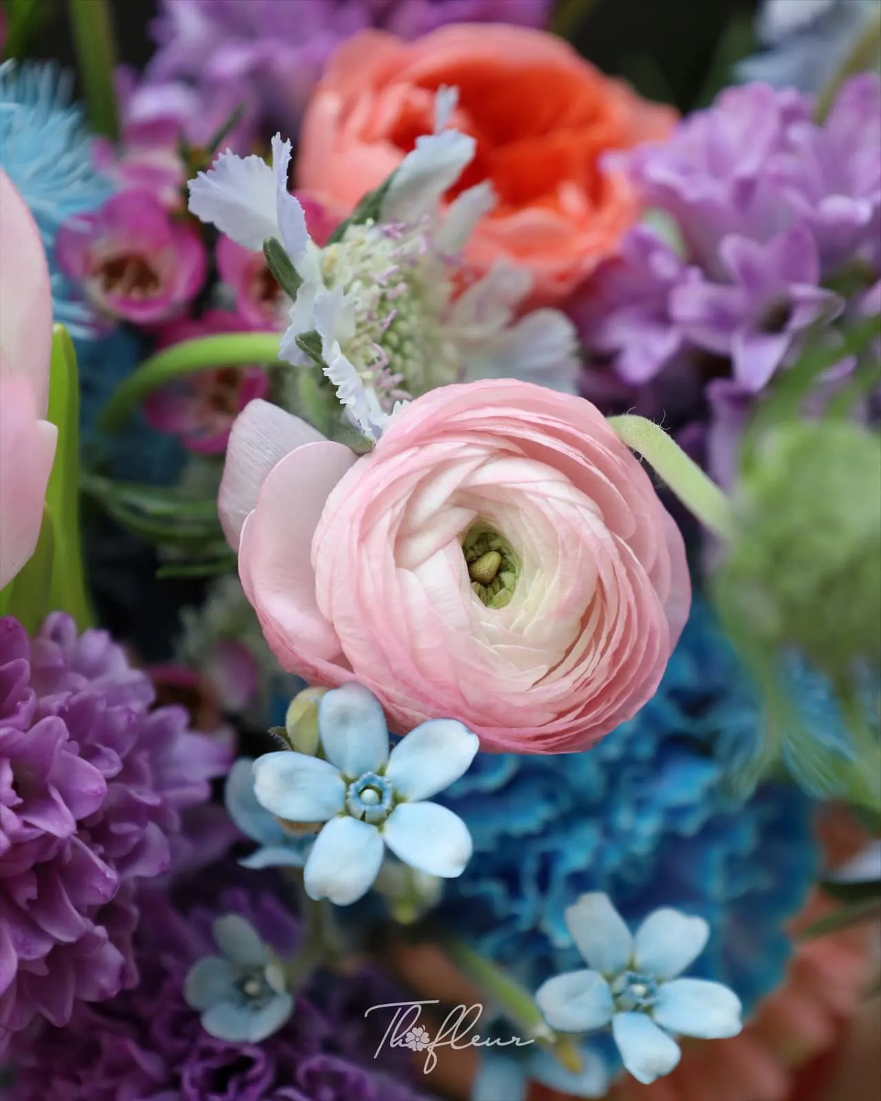 Hoa cưới dạ lan hương 10