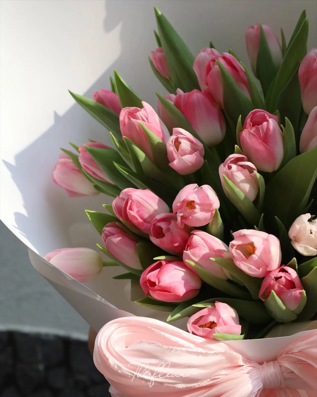 Bó hoa tulip 109