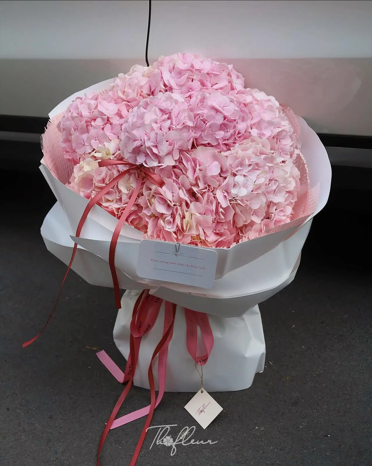 Bó hoa cẩm tú cầu 18