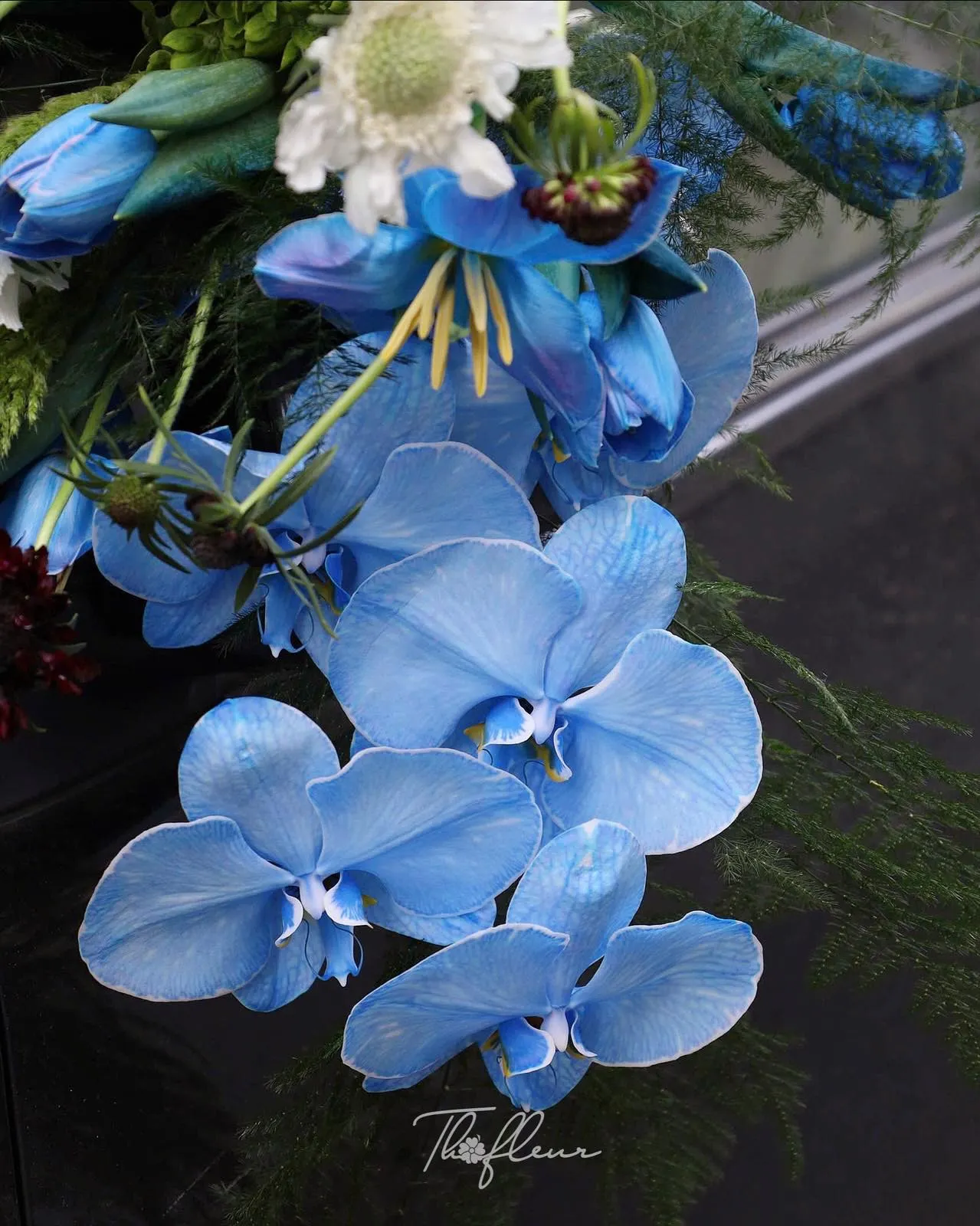 Hoa cưới tulip 56