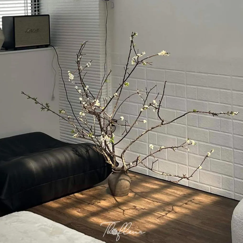 Cành mận Tây Bắc 10