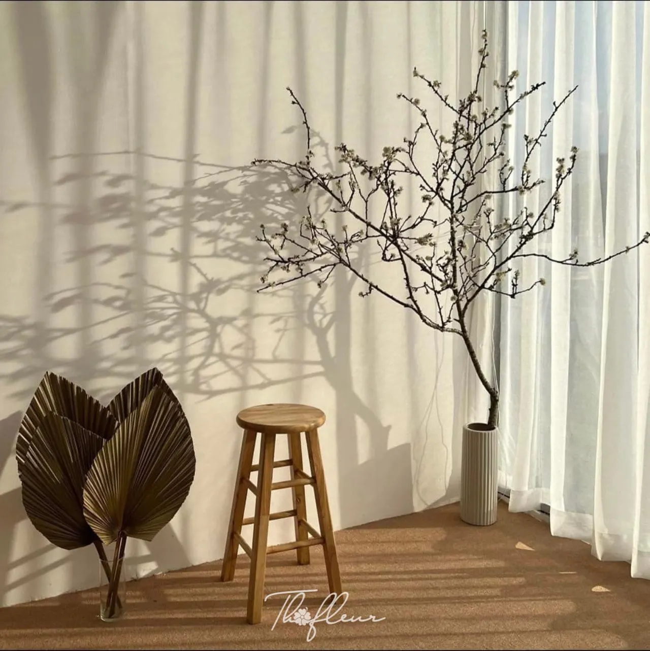 Cành mận Tây Bắc 08