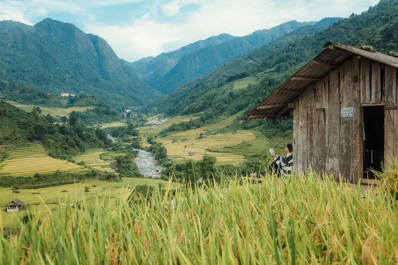 Một du khách ngồi thư giãn trên hiên nhà gỗ nhìn ra cánh đồng lúa ở Việt Nam