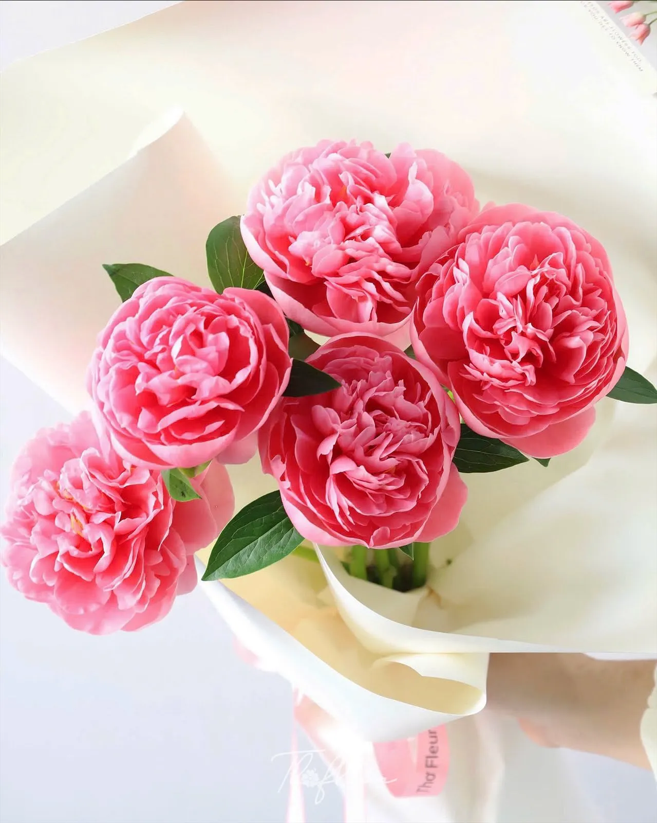 Bó hoa mẫu đơn 33