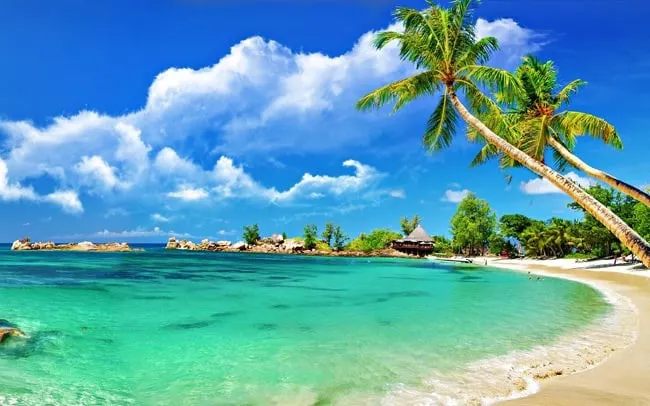 Bãi biển Phú Quốc với nước biển xanh trong và hàng dừa