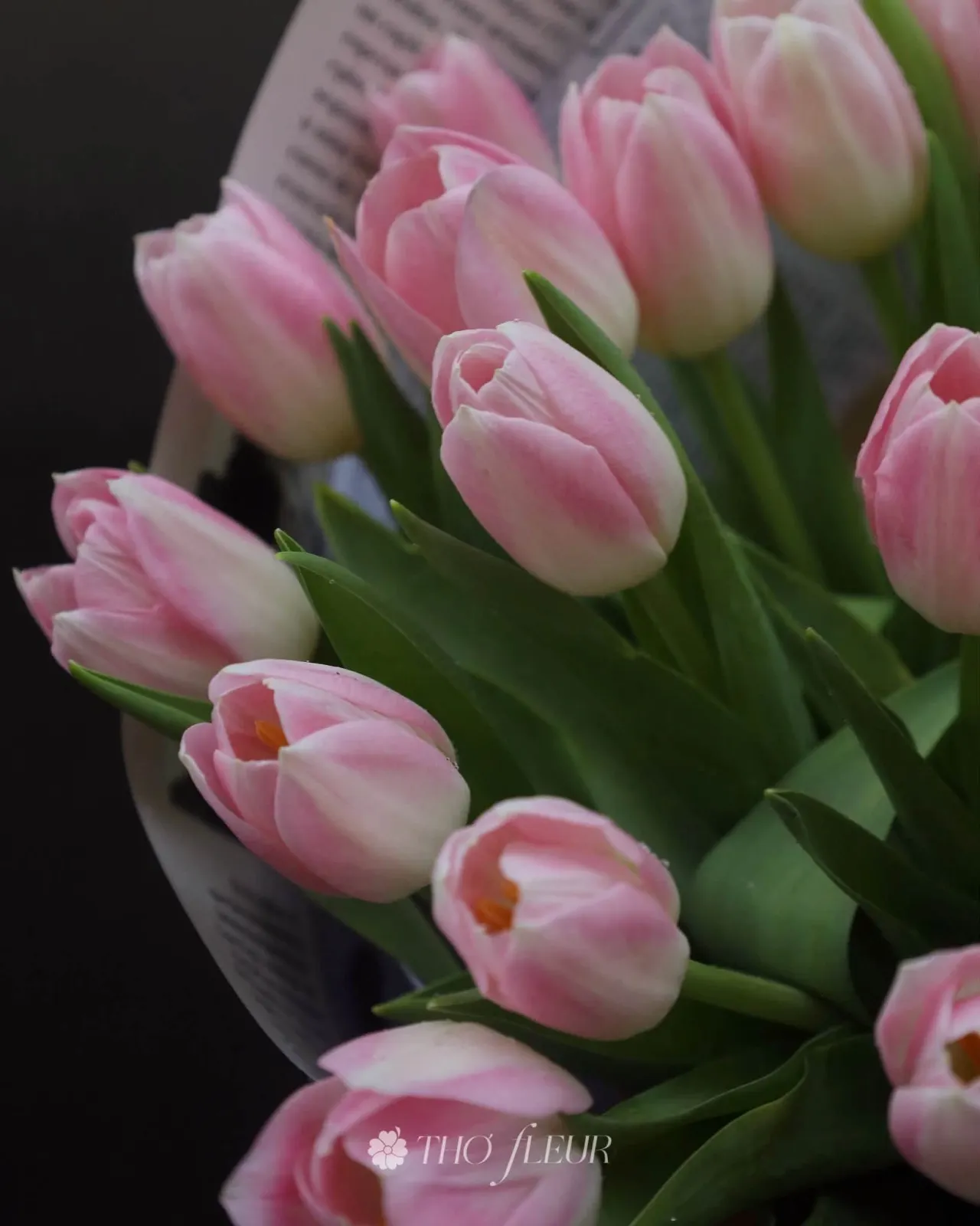 Bó hoa tulip 117
