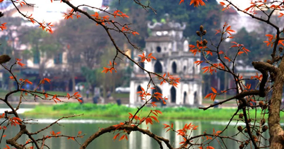 Tháp Rùa Hồ Gươm trong nắng sớm mùa thu, hàng cây lá vàng hai bên bờ hồ