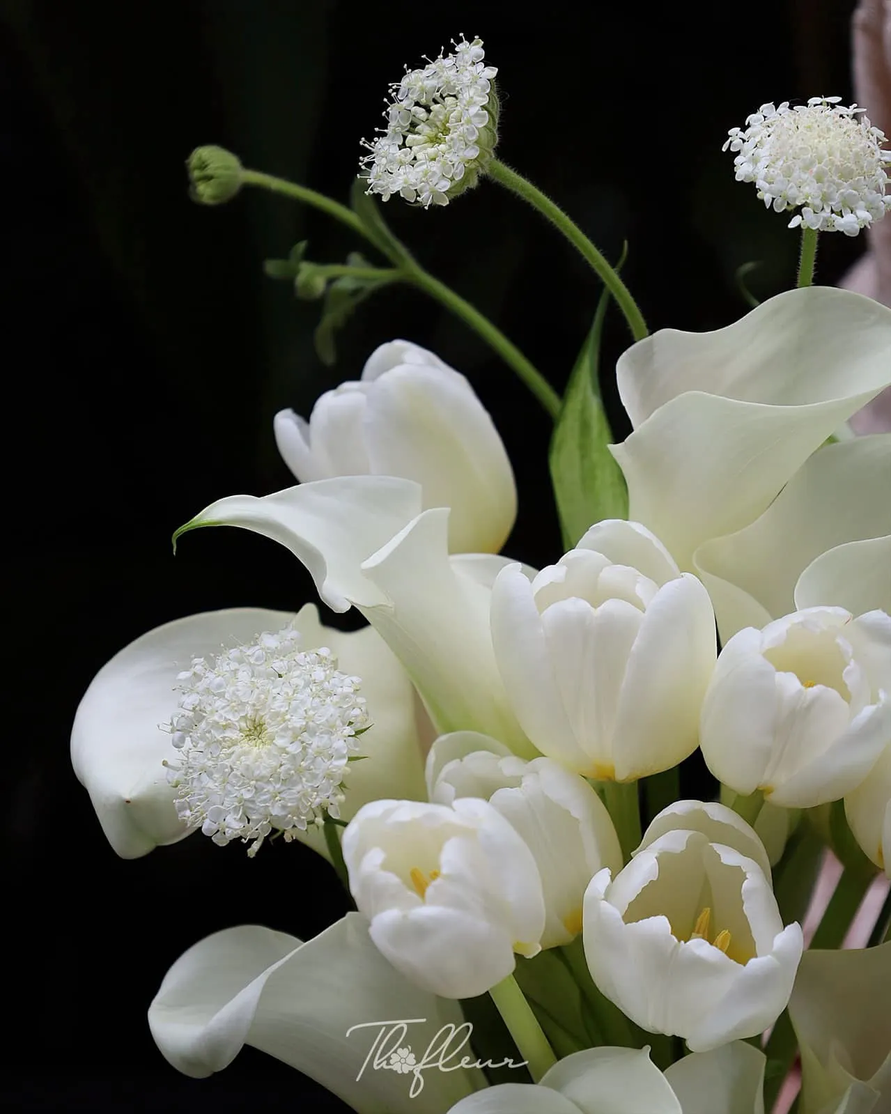 Hoa cưới tulip 39