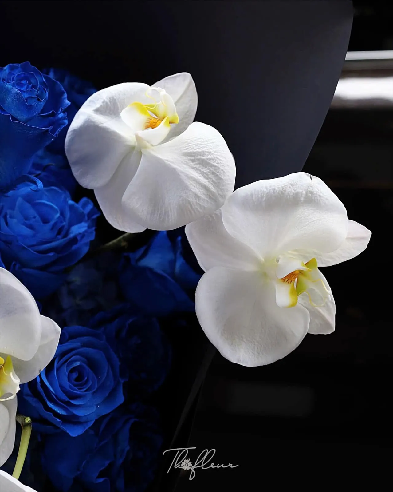 Bó hoa hồng nhập Ecuador 23