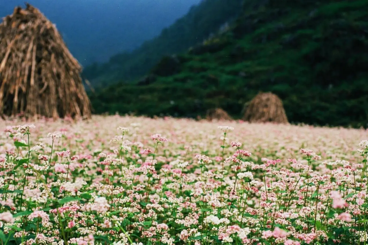 upload-1790934347678.webp