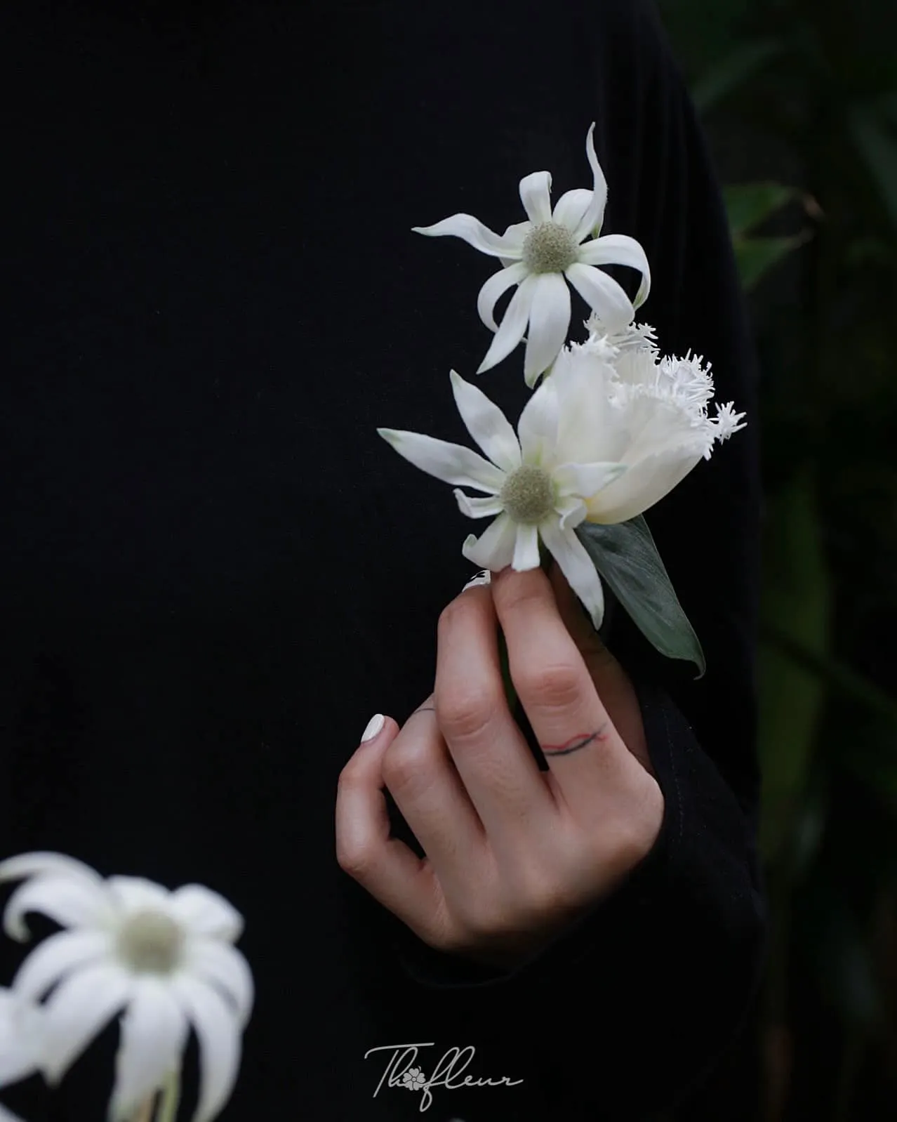 Hoa cưới tulip 29