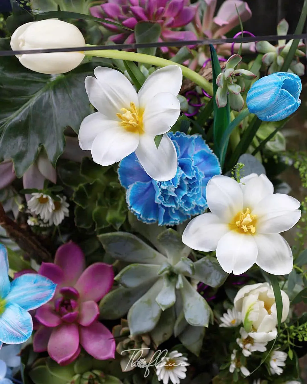 Hộp hoa đa size 07