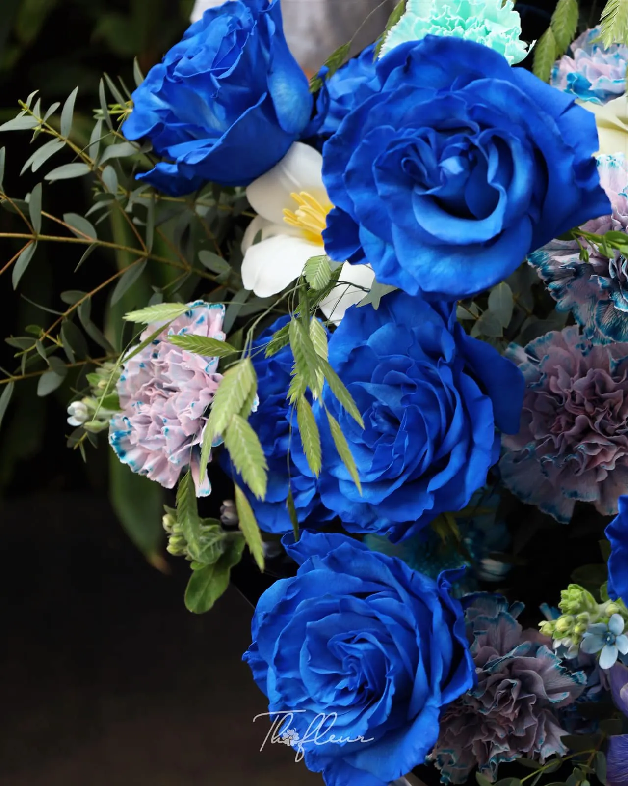 Bó hoa hồng nhập Ecuador 14