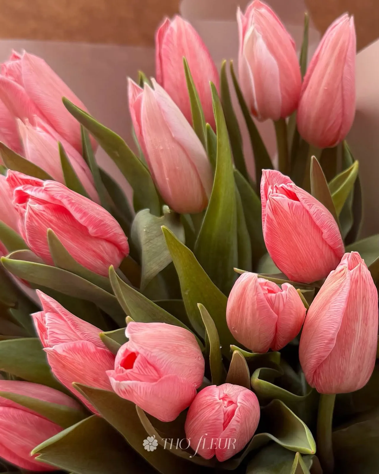 Bó hoa tulip 118