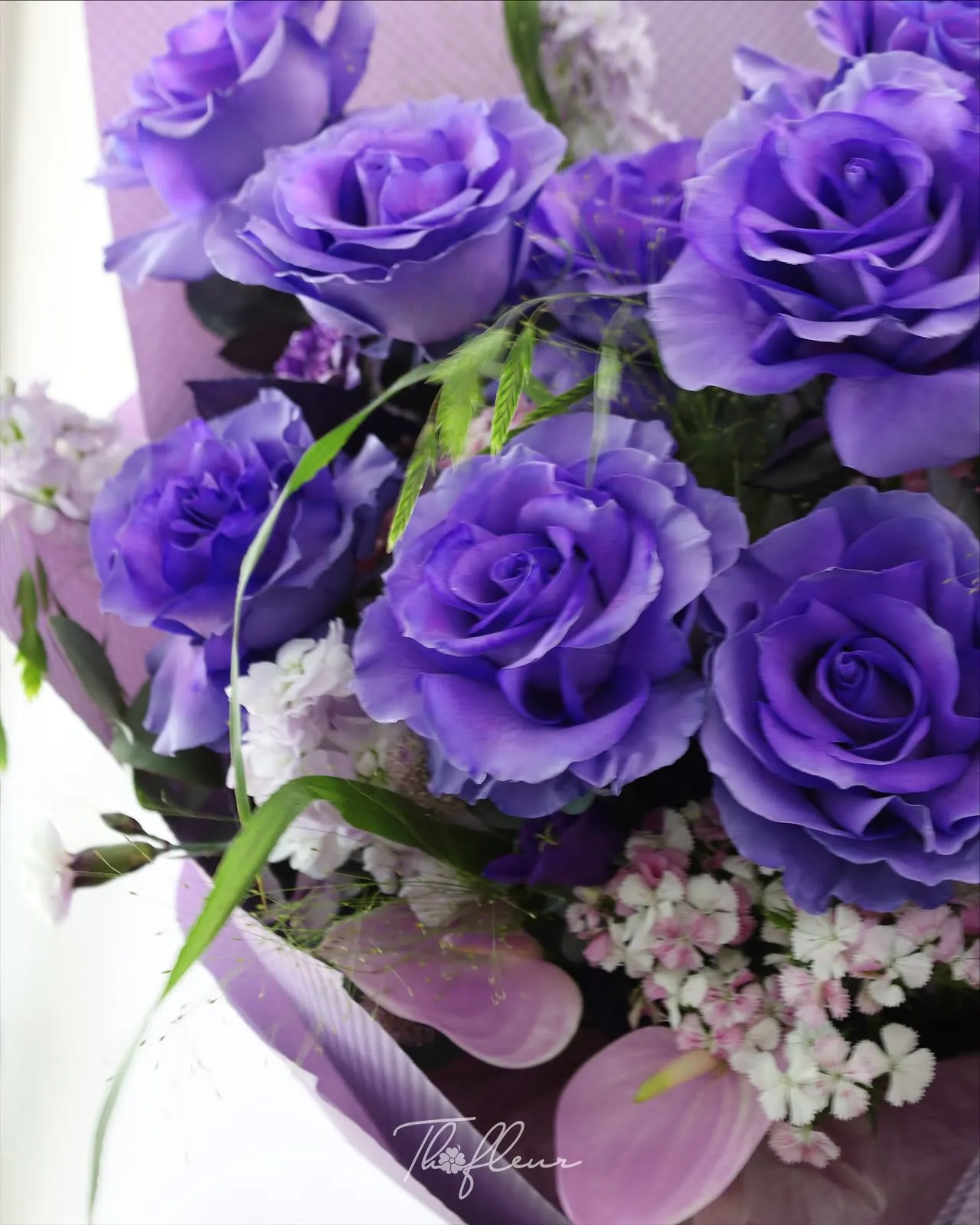 Bó hoa hồng nhập Ecuador 21