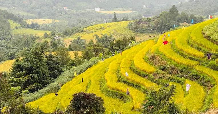Ruộng bậc thang và bản người Tày, Dao quanh khu vực Bình Liêu