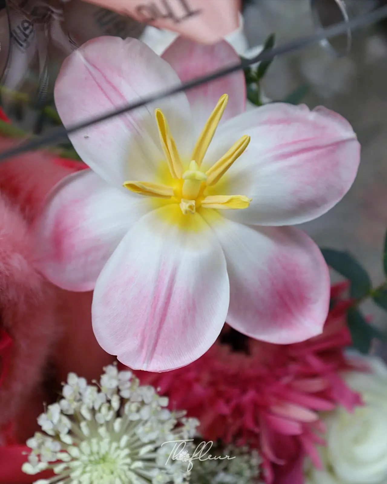 Hộp hoa quà tặng 15