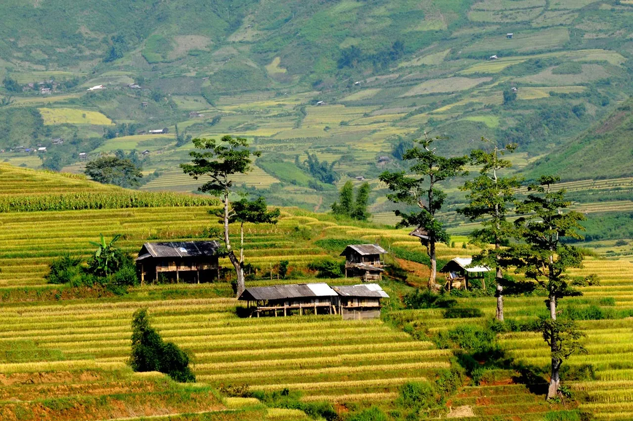 Làng bản địa vùng cao Tây Bắc với nhà sàn và ruộng bậc thang