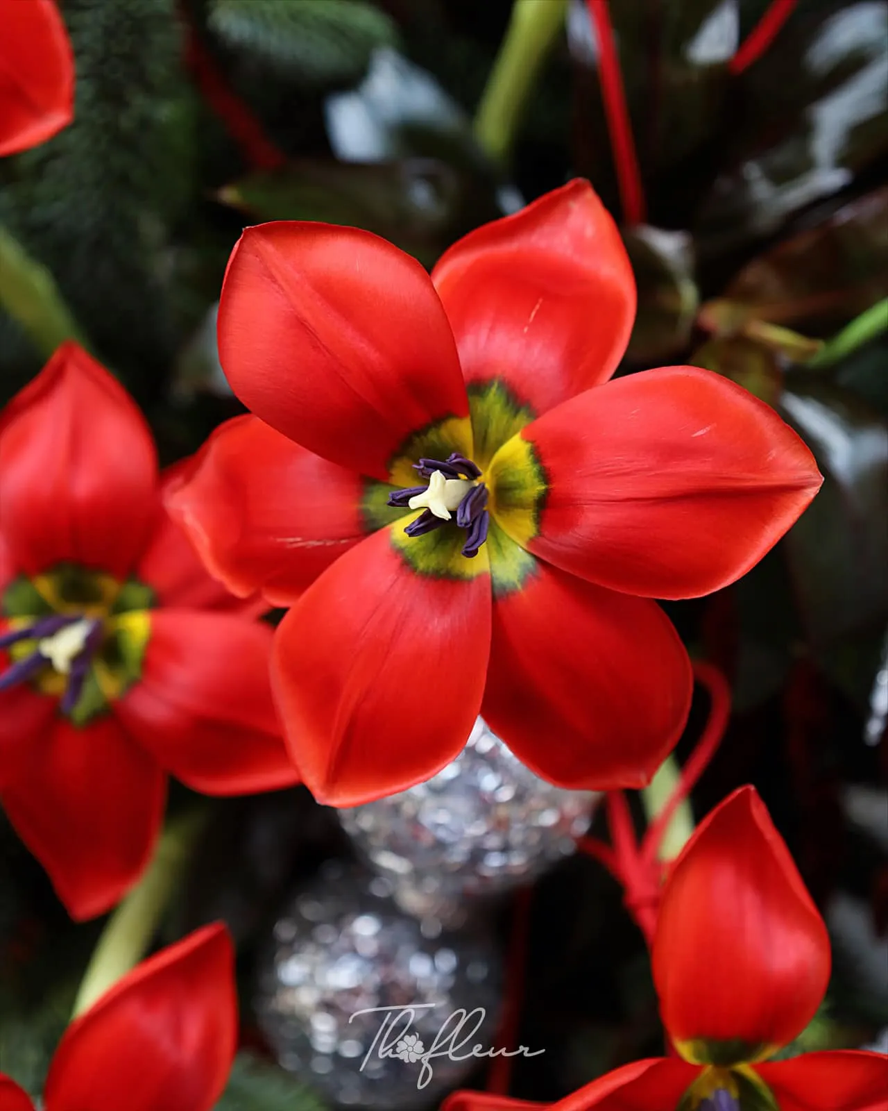 Hộp hoa christmas 09