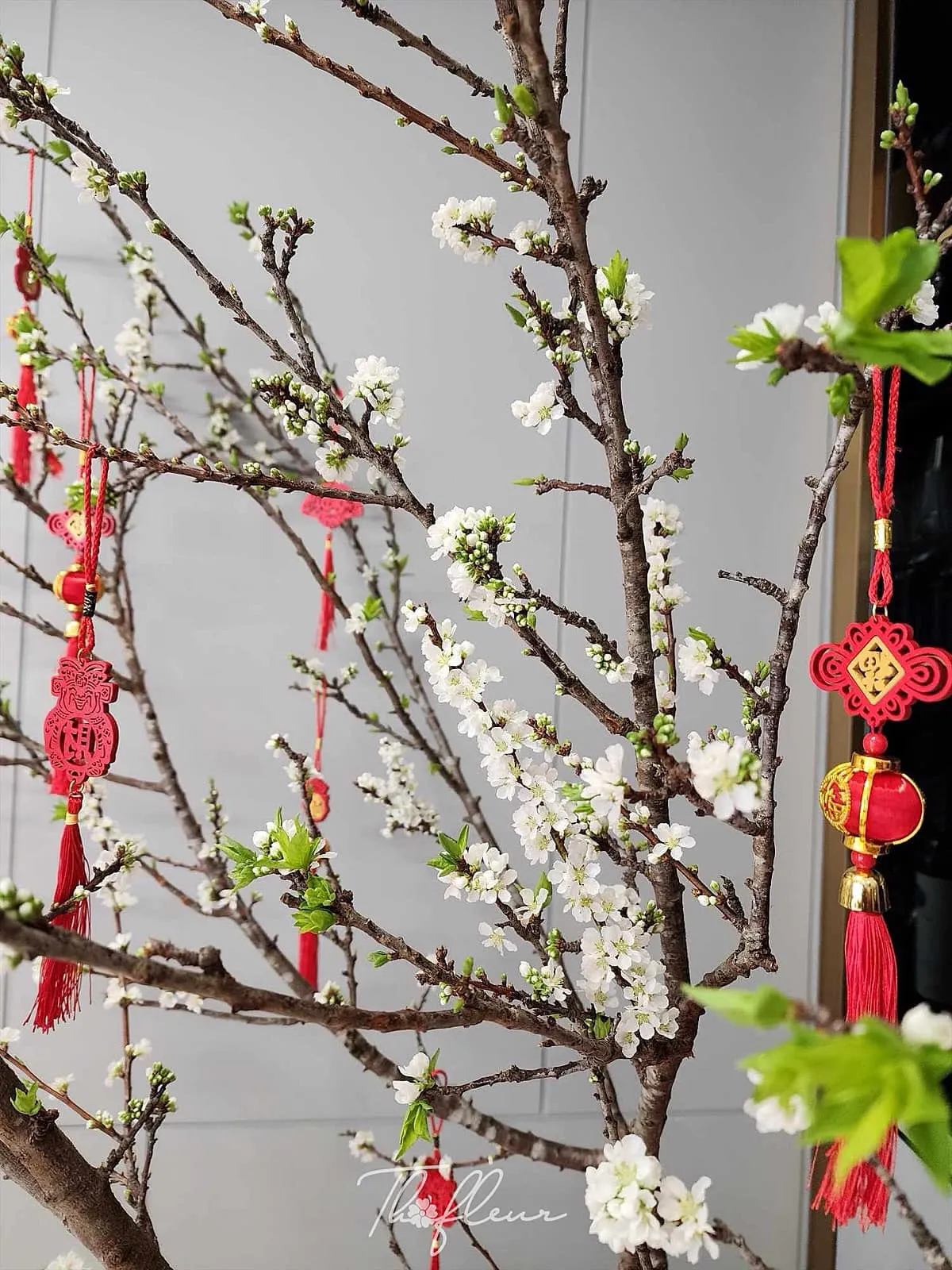 Cành mận Tây Bắc 02