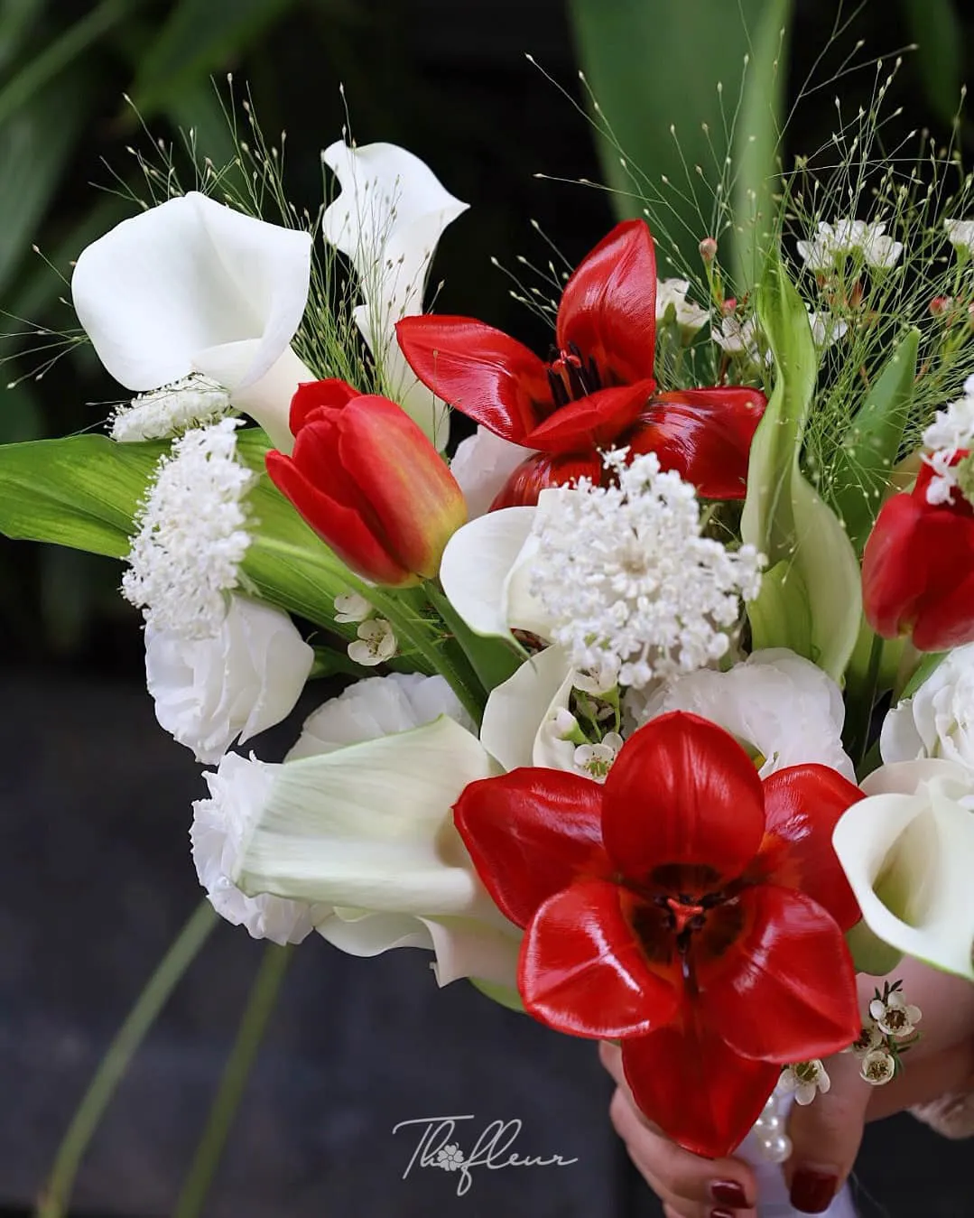 Hoa cưới tulip 42