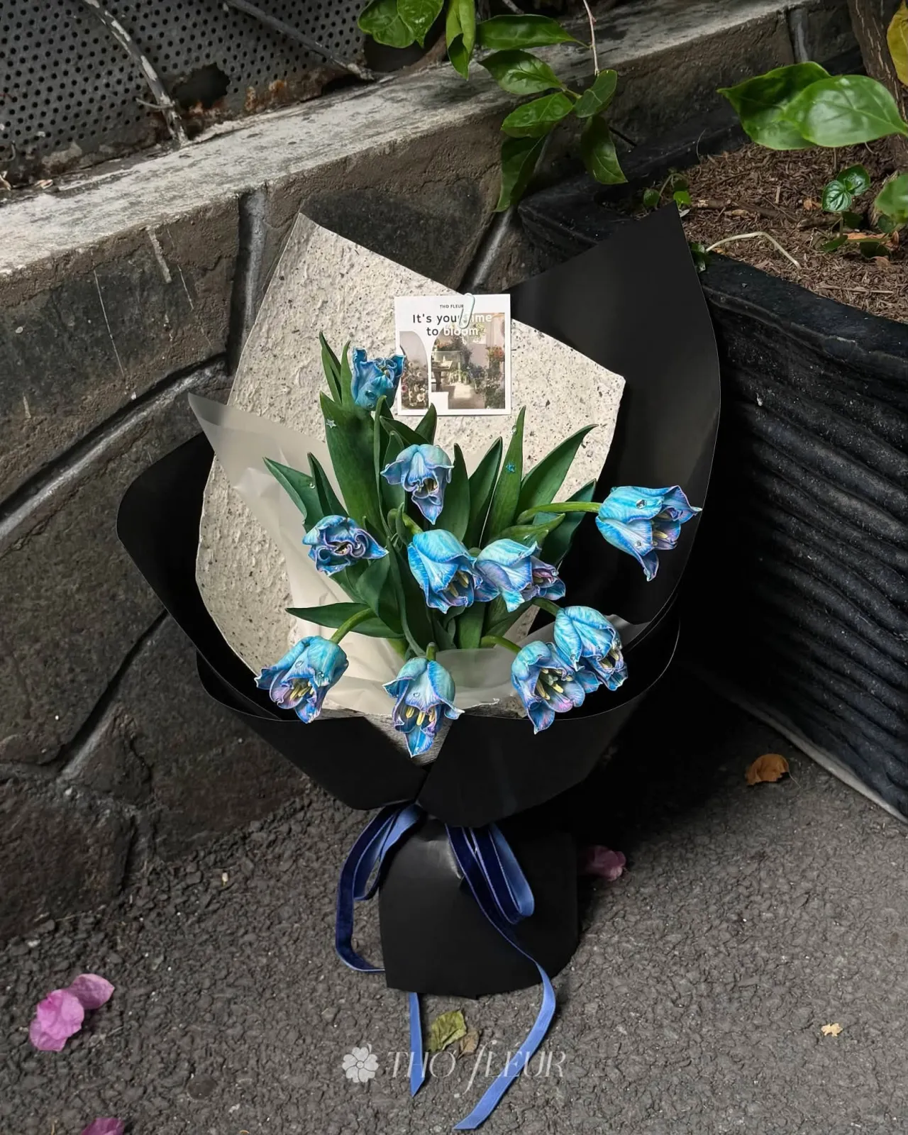 Bó hoa tulip 116