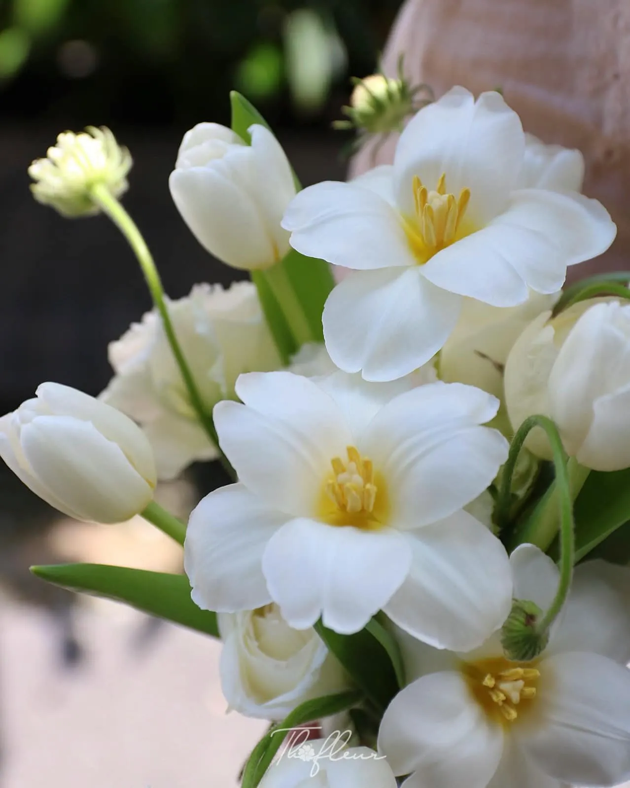 Hoa cưới tulip 38