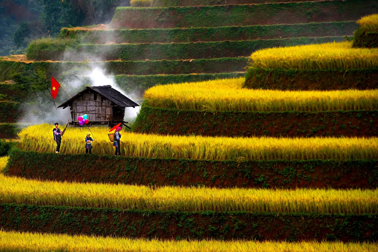Ruộng bậc thang Mù Cang Chải mùa lúa chín vàng rực với Đồi Mâm Xôi