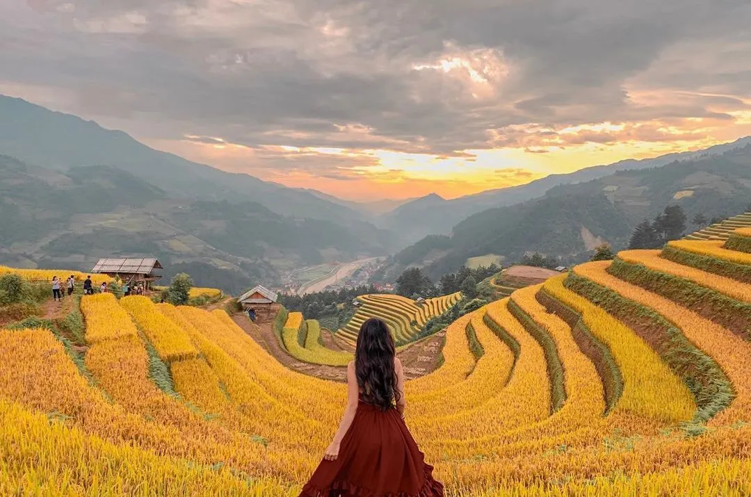 Bình minh trên đèo Khau Phạ nhìn xuống thung lũng lúa chín