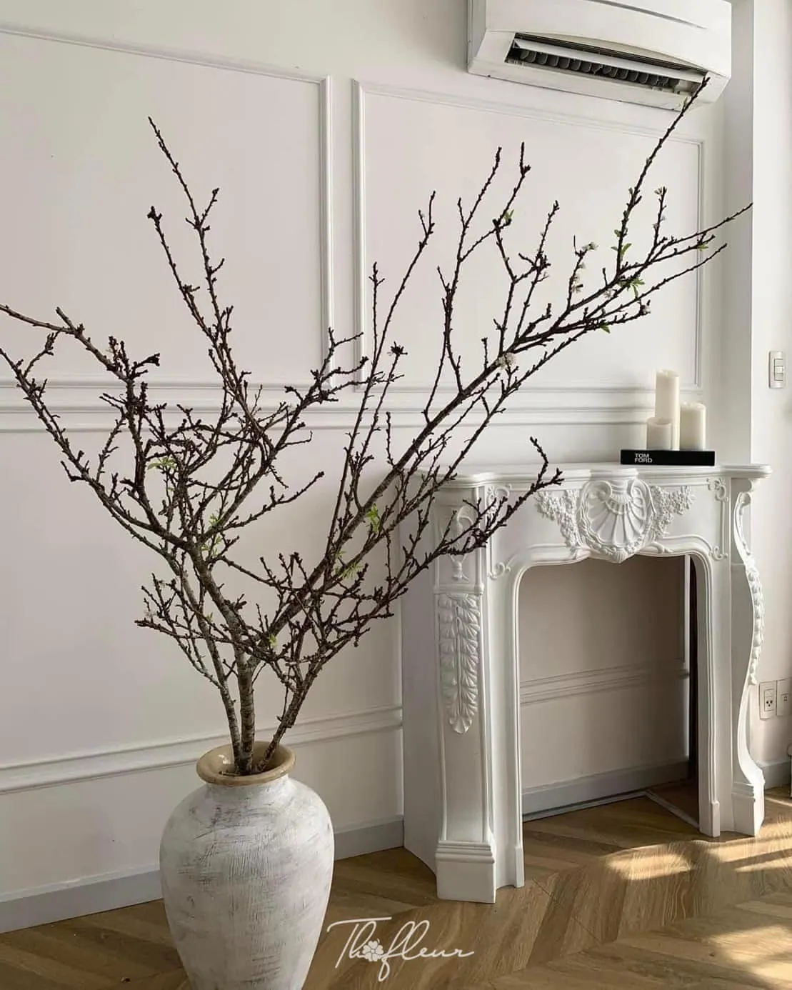 Cành mận Tây Bắc 07