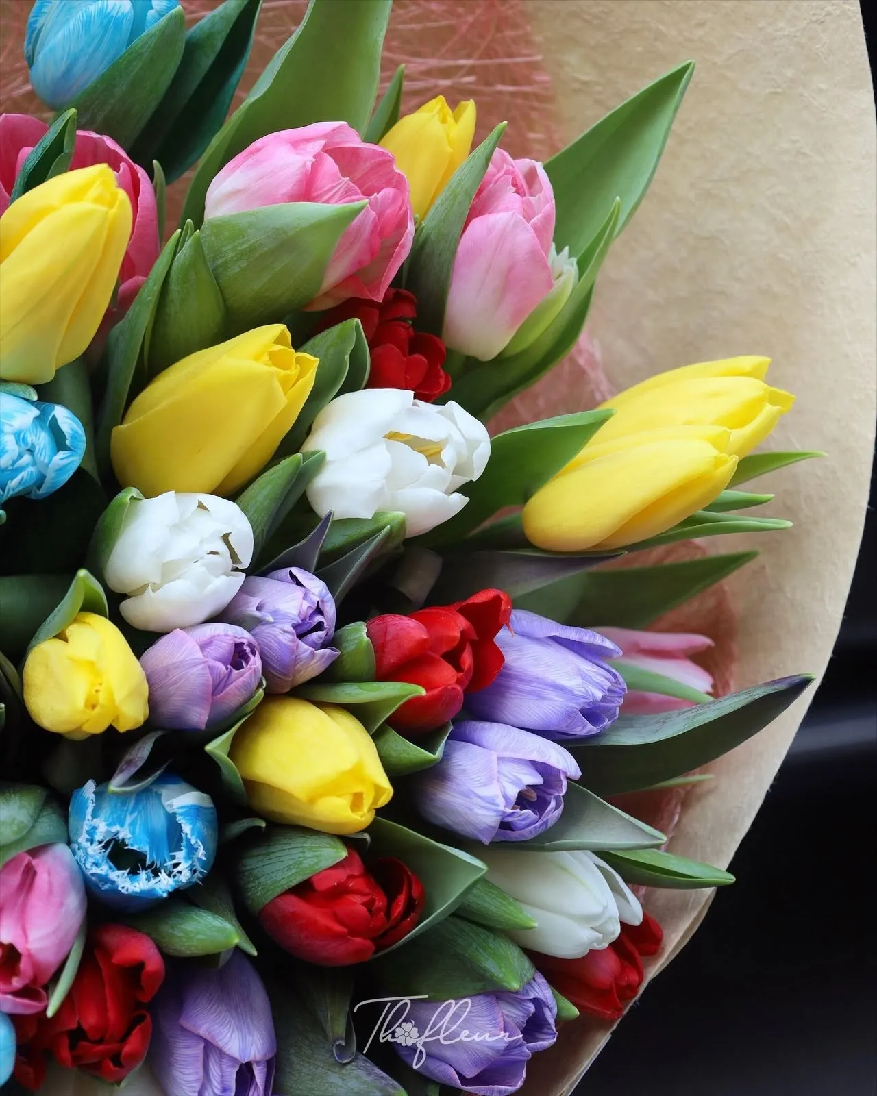 Bó hoa tulip 108