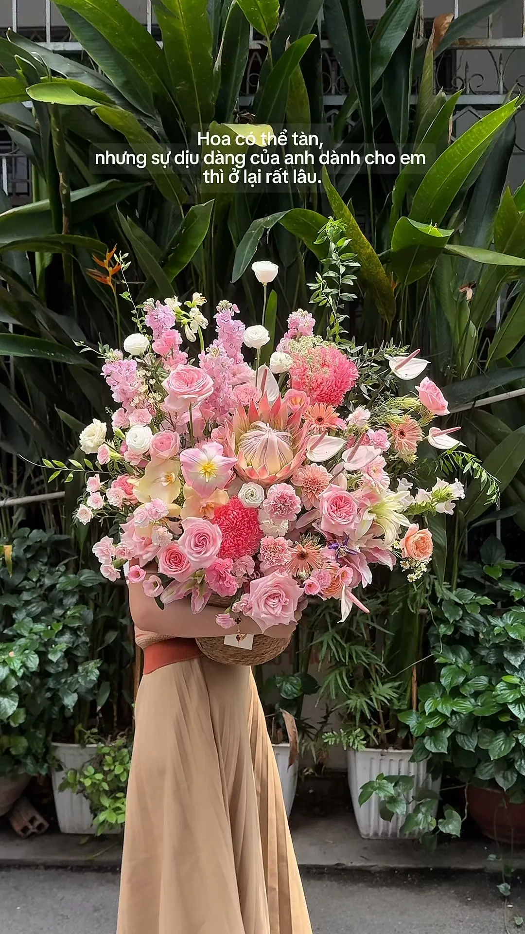 Hoa có thể tàn, nhưng sự dịu dàng của anh dành cho em thì ở lại rất lâu.

Item: Flower Bouquet
Photo: For our valued customers
_______
𝐓𝐡𝐨̛ 𝐅𝐥𝐞𝐮𝐫 - 𝐀 𝐒𝐲𝐦𝐛𝐨𝐥 𝐎𝐟 𝐋𝐨𝐯𝐞 
▪️GIẢM 5% KHI CHECKIN TẠI SHOP
▪️79 Hồ Văn Huê, Phường Đức Nhuận, TP Hồ Chí Minh
▪️0798080779
▪Instagram @tho_fleur
▪️Tiktok: @thofleur
#thofleur #hoa_tuoi #florist