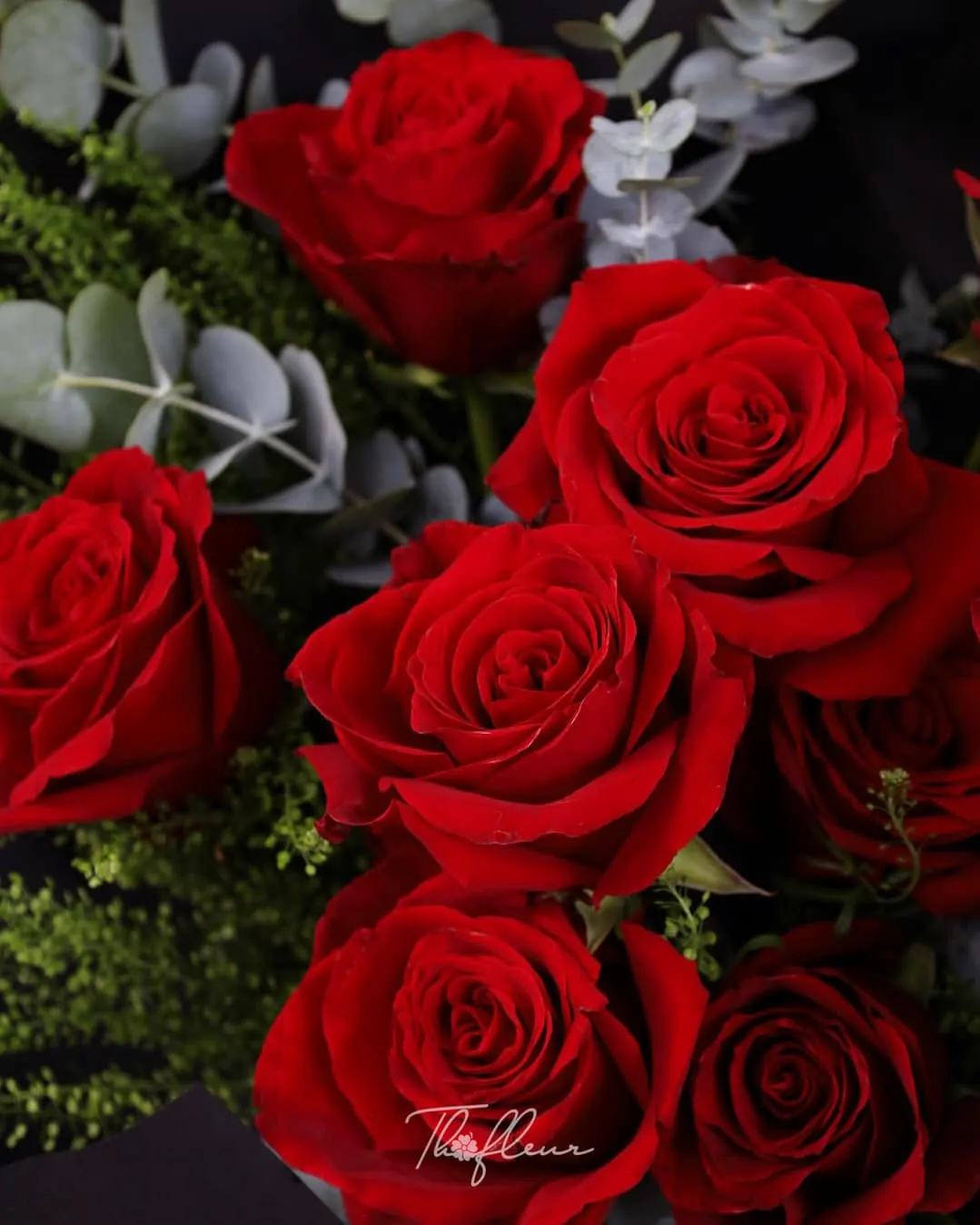 Bó hoa hồng nhập Ecuador 13