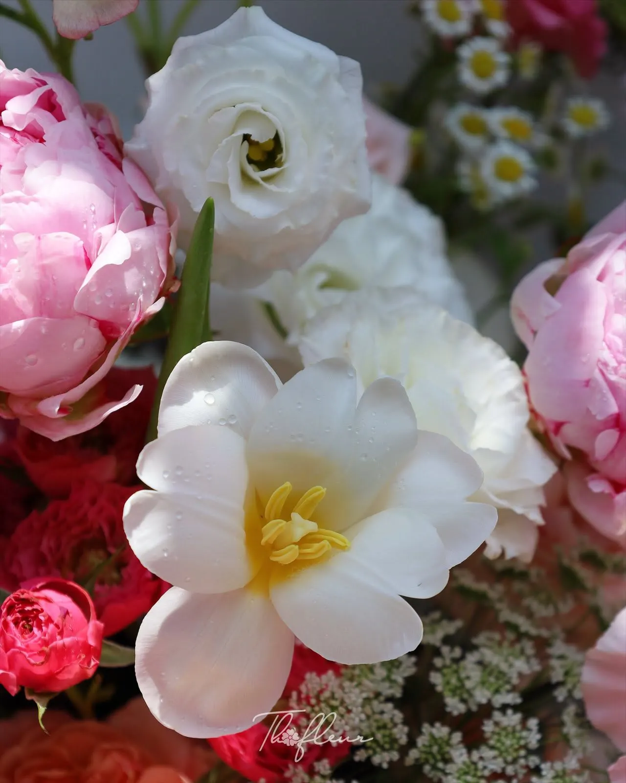 Bó hoa mẫu đơn 20