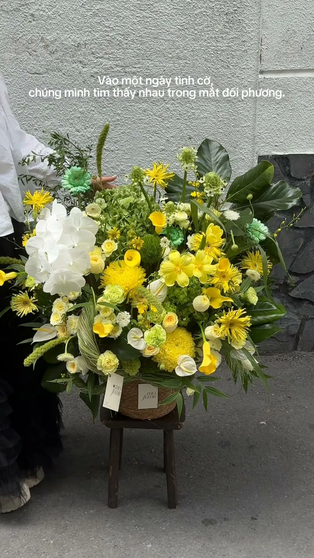 Vào một ngày tình cờ, ta tìm thấy nhau trong mắt đối phương.

Item: Flower Bag
Photo: For our valued customers
_______
𝐓𝐡𝐨̛ 𝐅𝐥𝐞𝐮𝐫 - 𝐀 𝐒𝐲𝐦𝐛𝐨𝐥 𝐎𝐟 𝐋𝐨𝐯𝐞 
▪️GIẢM 5% KHI CHECKIN TẠI SHOP
▪️79 Hồ Văn Huê, Phường Đức Nhuận, TP Hồ Chí Minh
▪️0798080779
▪Instagram @tho_fleur
▪️Tiktok: @thofleur
#thofleur #hoa_tuoi #florist