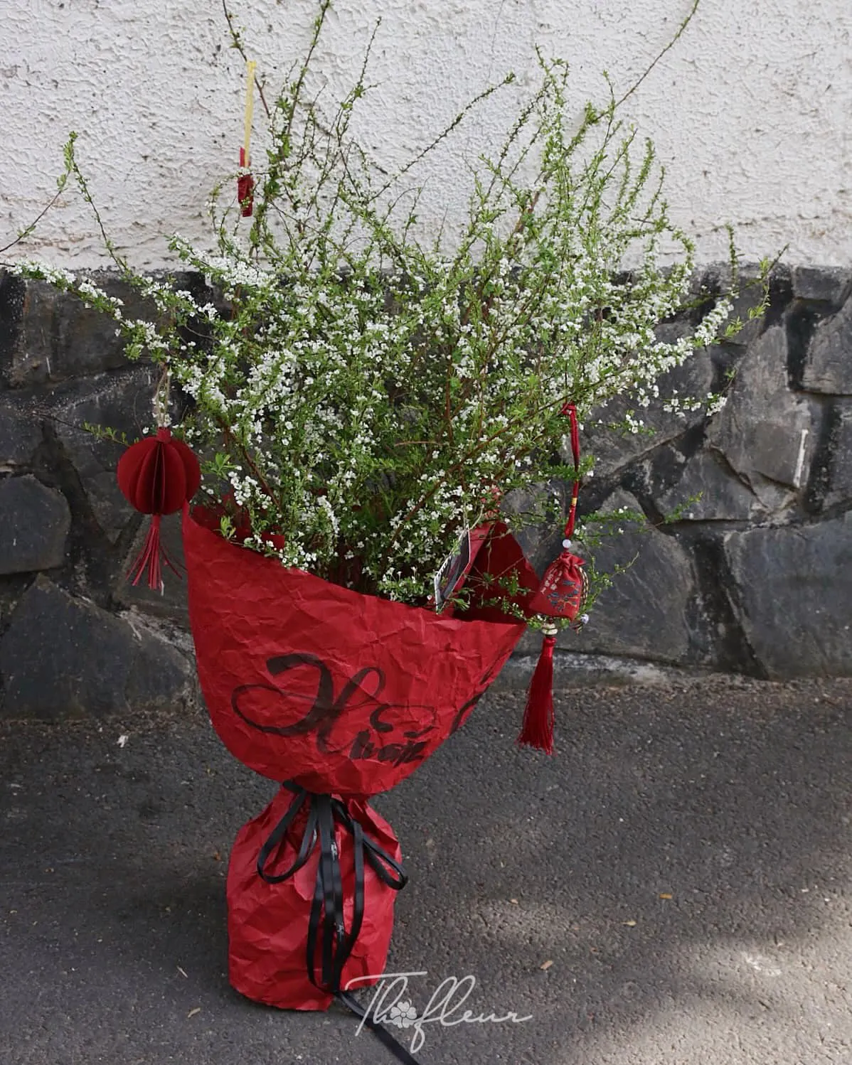 Cành Tuyết Mai 03