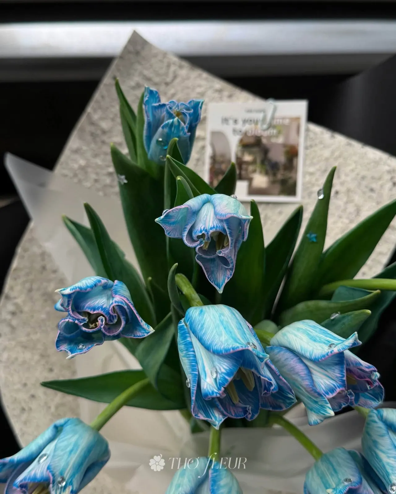 Bó hoa tulip 116