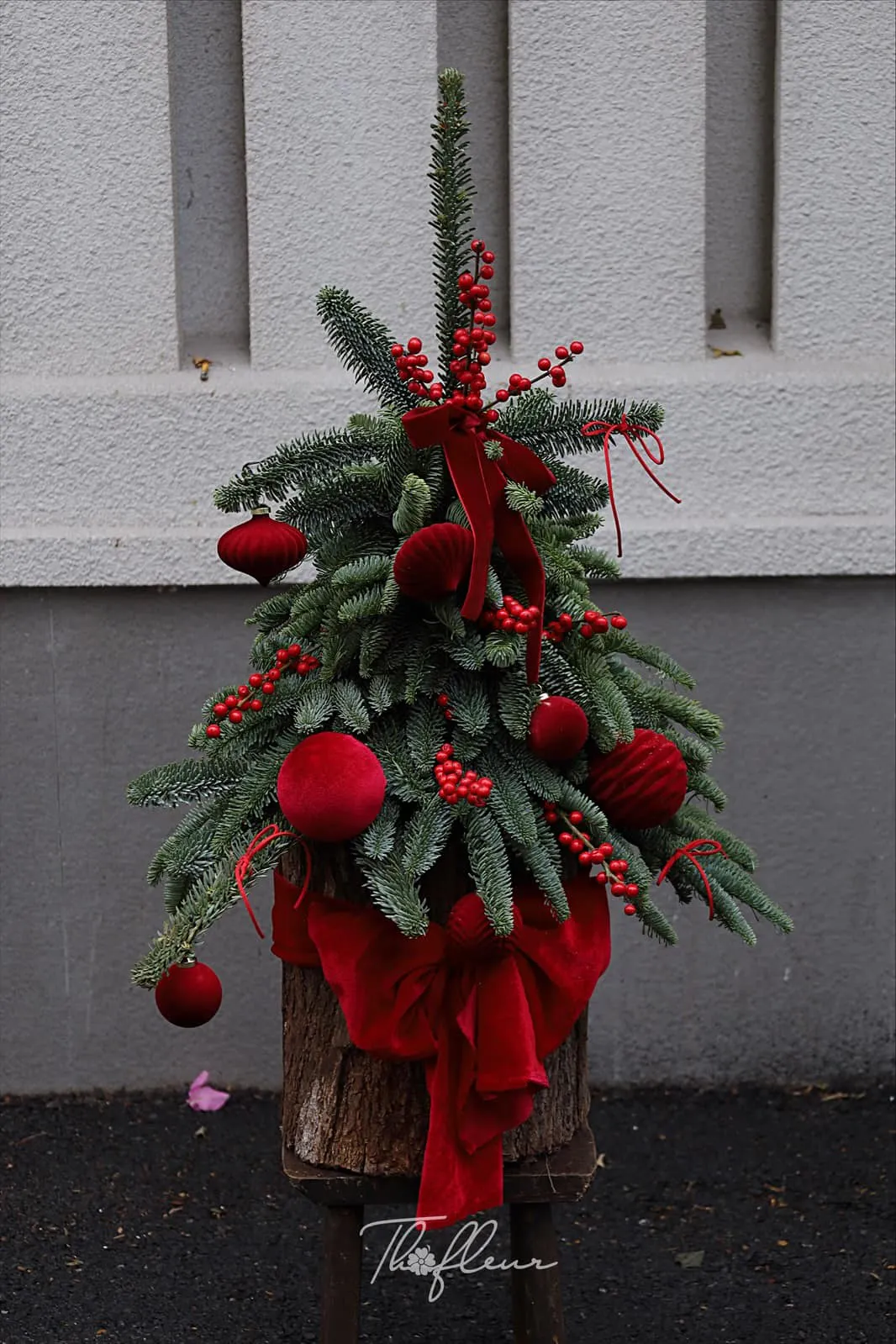 Chậu hoa Christmas