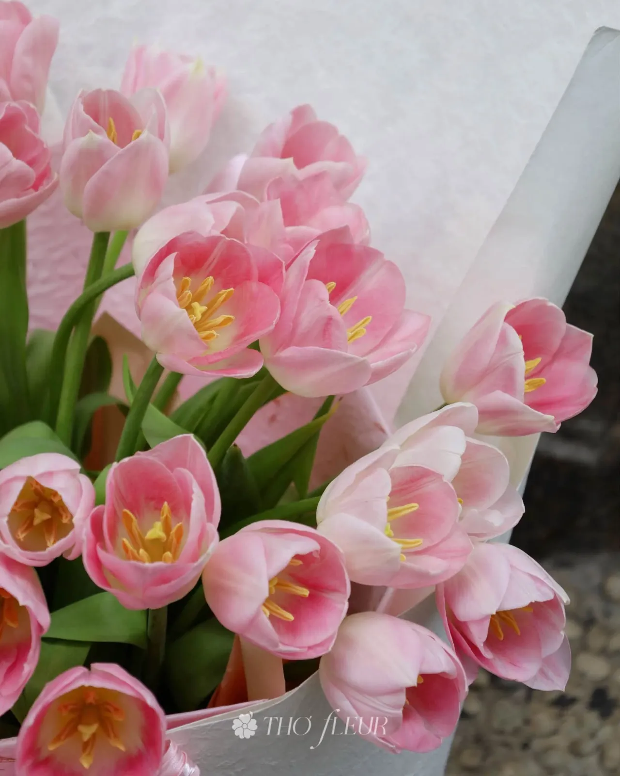 Bó hoa tulip 114