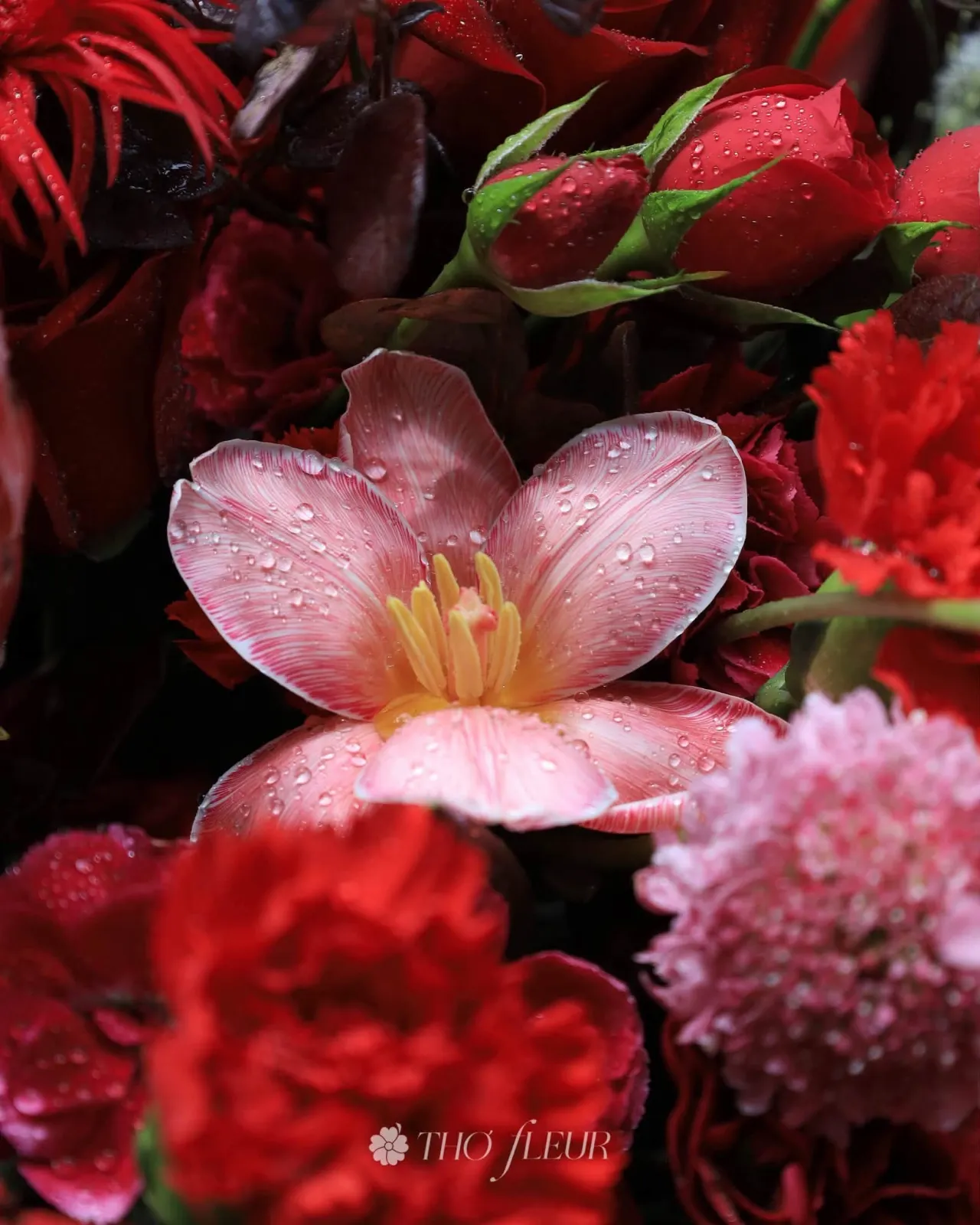 Bó hoa hồng 74