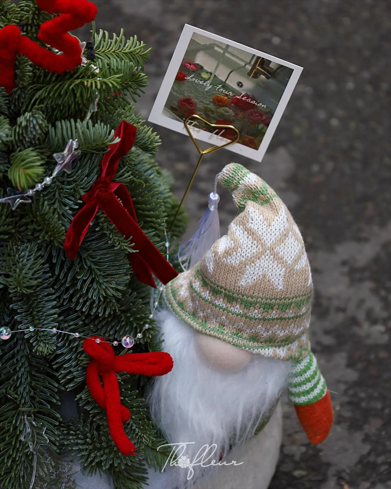 Chậu hoa christmas 08