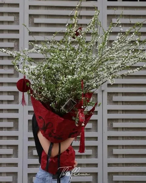 Cành Tuyết Mai 03