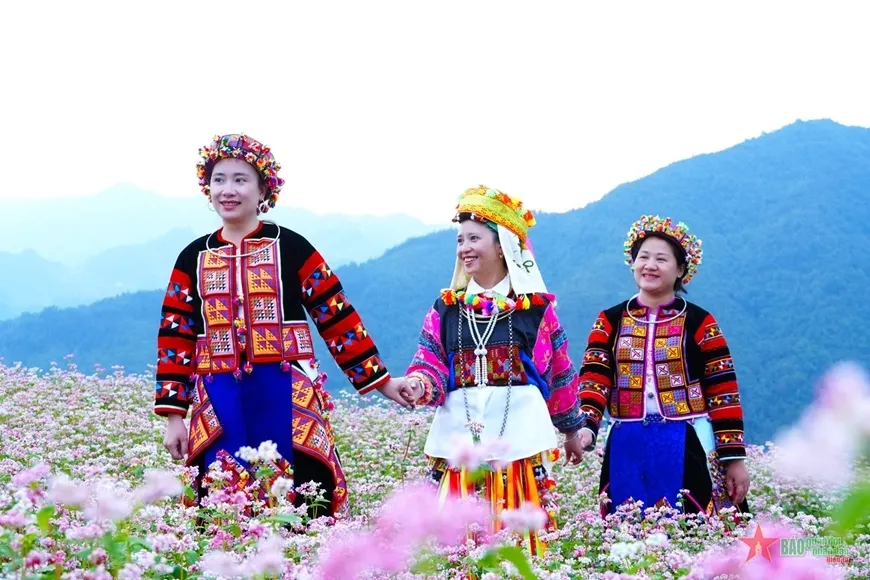 Du khách đi trên lối mòn được đánh dấu giữa cánh đồng hoa tam giác mạch