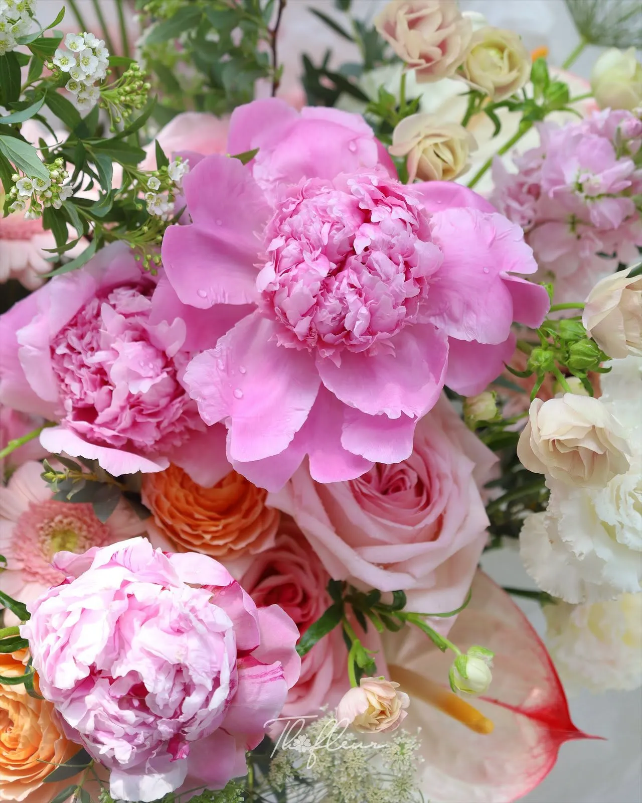 Bó hoa mẫu đơn 25